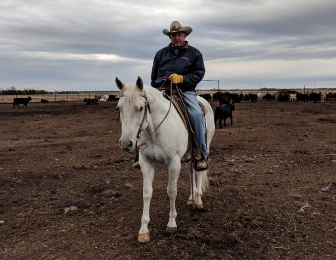 Duane Walker, a Saint Luke's Mid America Heart Institute patient, riding his white horse in a pasture of cattle.