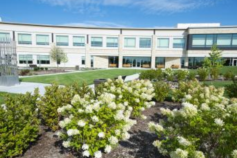 White flowers are being shown at The Gardens at Hedrick Medical Center