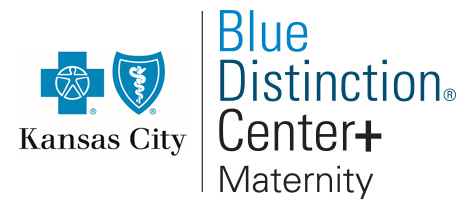 Blue Cross and Blue Shield Blue Distinction Maternity award