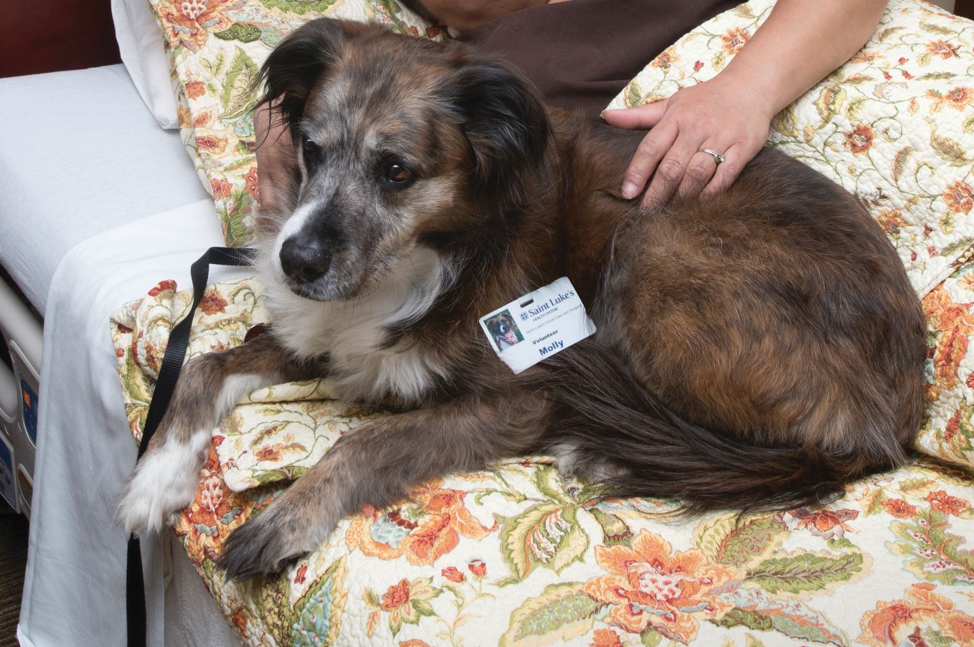 Molly - DOC - comforting patients at Saint Luke's Hospice House