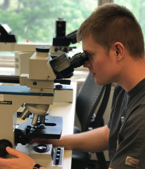 A Saint Luke's Medical Lab Science student uses a microscope
