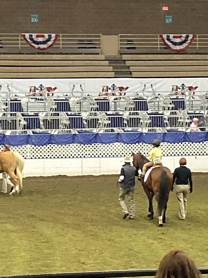 Amelia, a patient Saint Luke's The Children's SPOT, riding her horse at the United Professional Horseman's Association (UPHA) National Championship Horse Show at the American Royal.