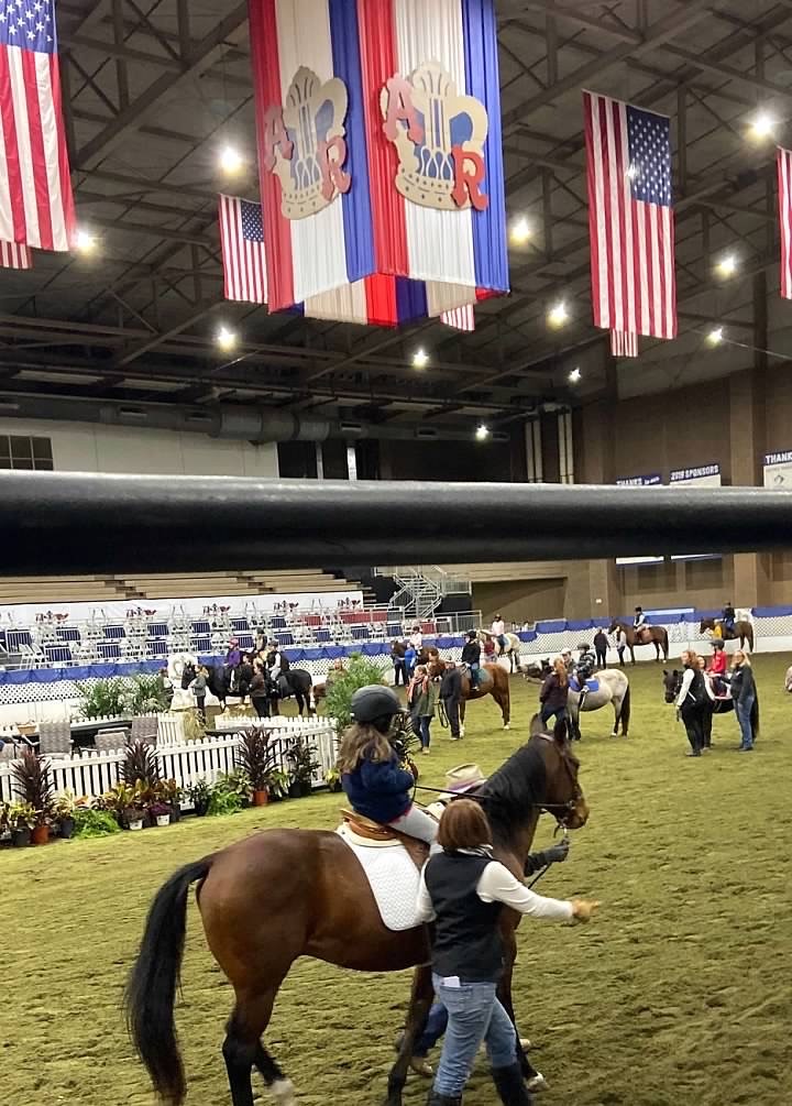 Amelia, riding Nick, in the practice session at Hale Arena on the day before the horse show. 