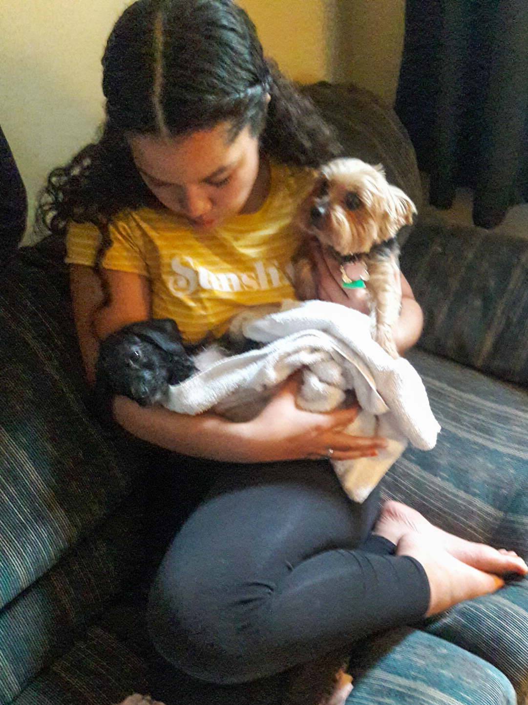 Rhonda's granddaughter with her newly adopted dogs