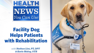 A yellow lab wearing a vest and photo identification