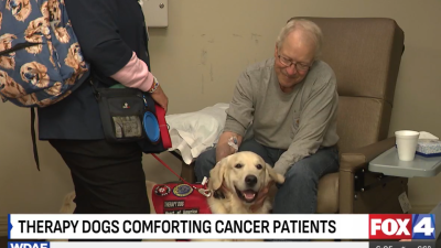 Therapy dogs comforting cancer patients